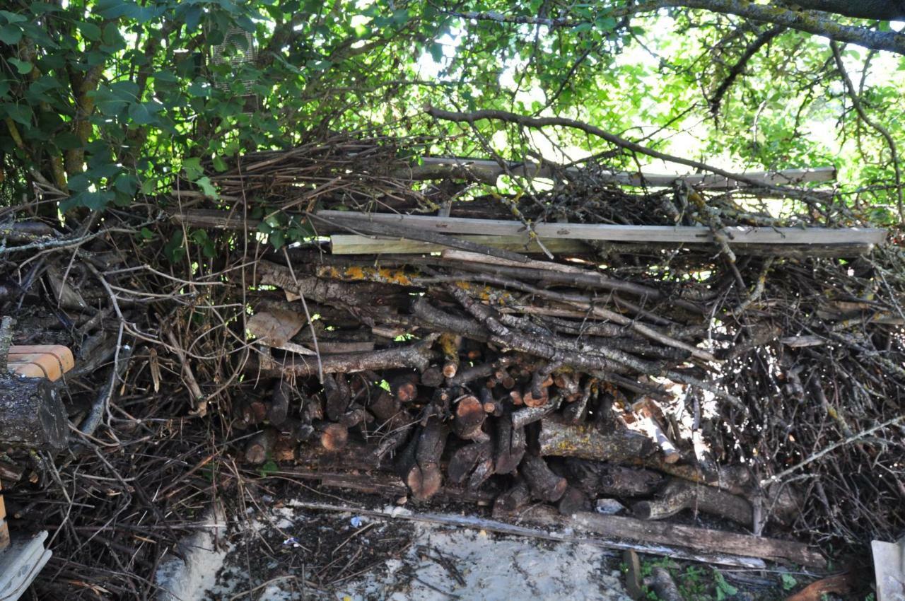 הוילה Santibanez del Val El Jardin De Manuela מראה חיצוני תמונה