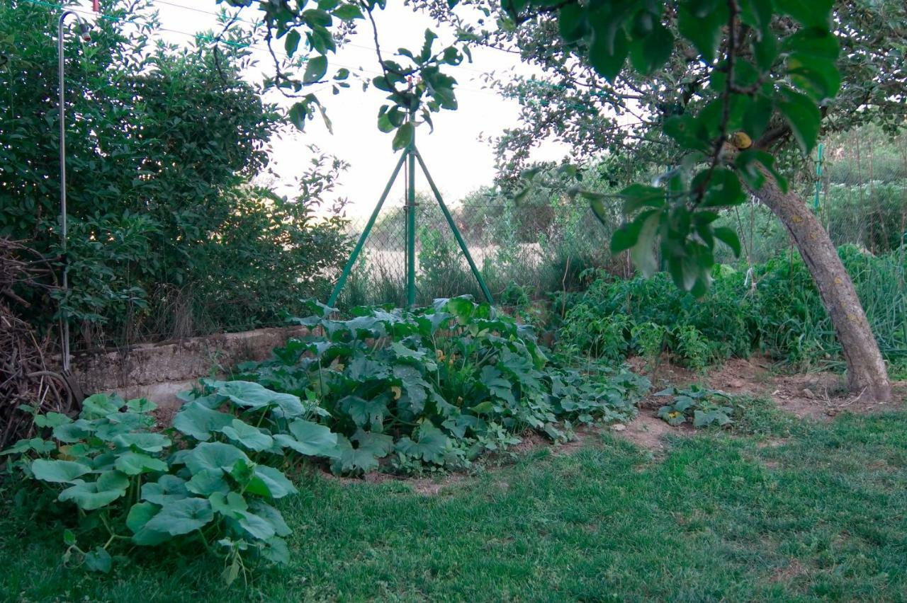 הוילה Santibanez del Val El Jardin De Manuela מראה חיצוני תמונה