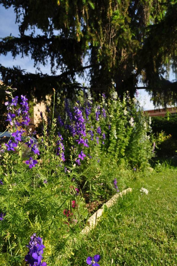 הוילה Santibanez del Val El Jardin De Manuela מראה חיצוני תמונה